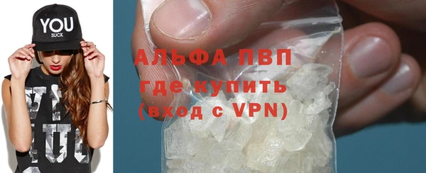 прущие грибы Инта