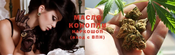 прущие грибы Инта