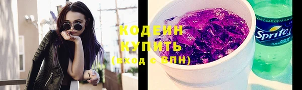 прущие грибы Инта