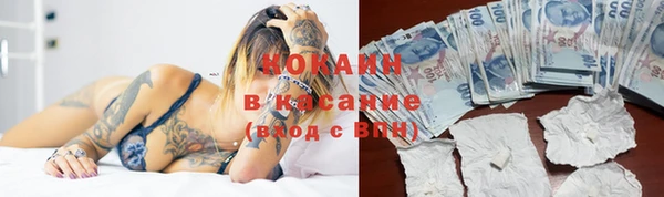 амф Инсар