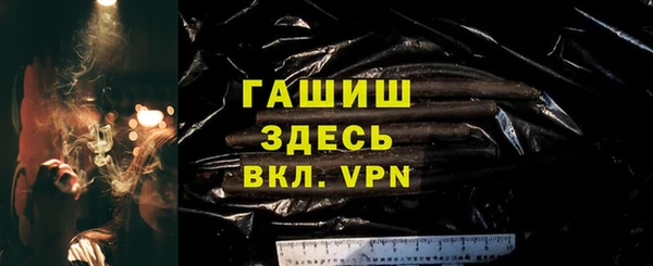 прущие грибы Инта