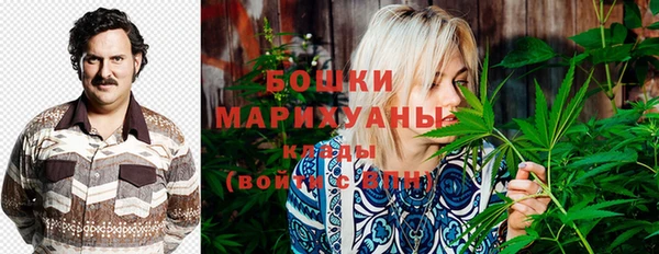 прущие грибы Инта