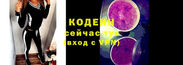 амф Инсар