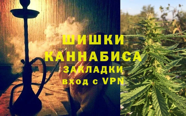 амф Инсар
