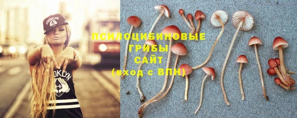 MDMA Premium VHQ Иннополис
