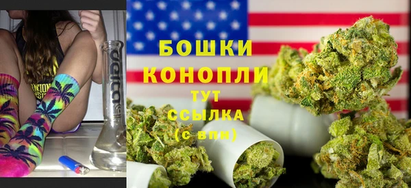 прущие грибы Инта