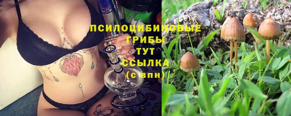 амф Инсар