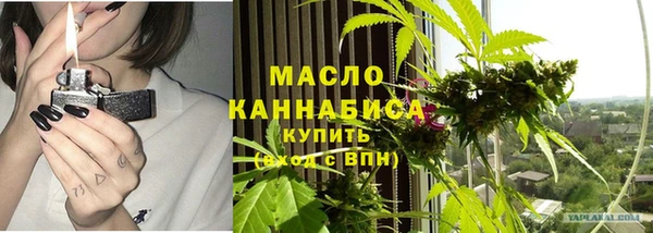 прущие грибы Инта