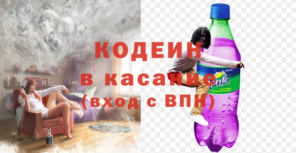 прущие грибы Инта