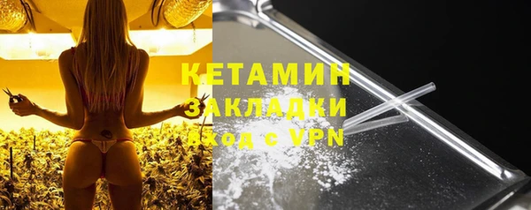 прущие грибы Инта