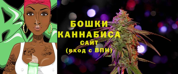 прущие грибы Инта