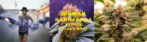 прущие грибы Инта