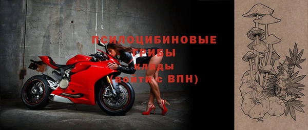 амф Инсар
